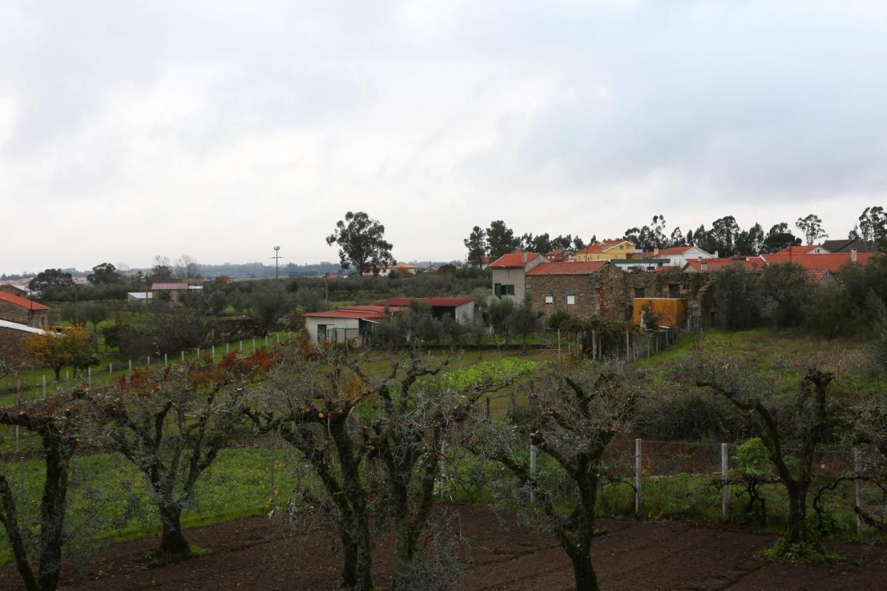 Casa D'Avo Serra Da Estrela Seia Kültér fotó